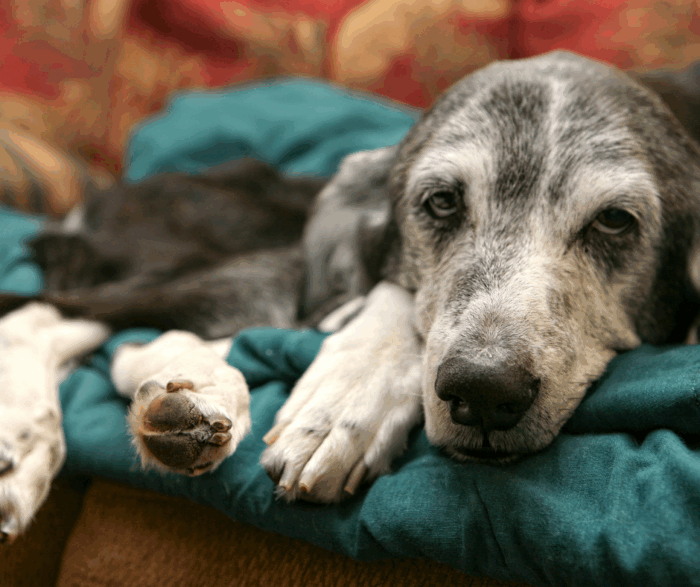 When and how to say goodbye