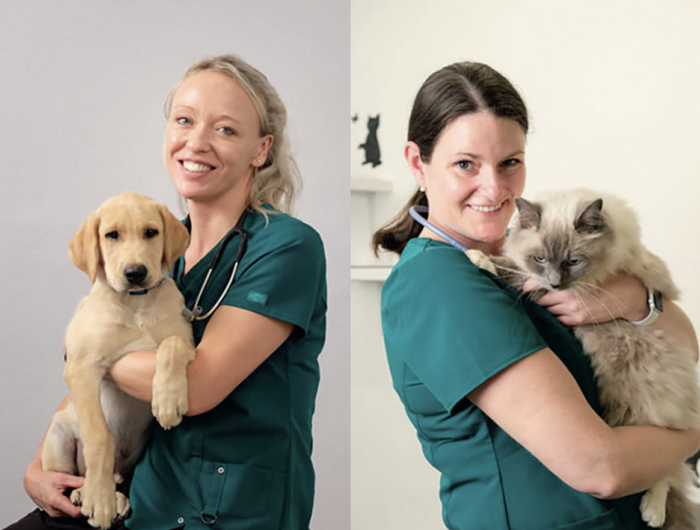 Chalklands Vets: building a veterinary practice with heart, expertise and a shared vision